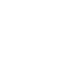 Minibus